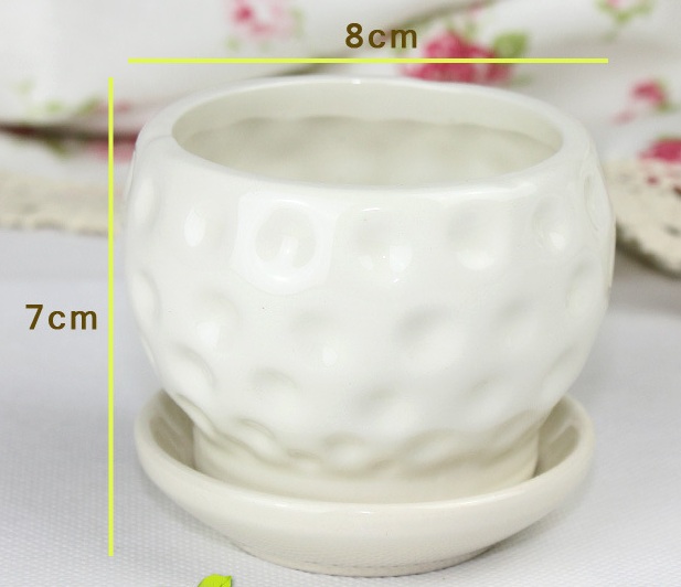 chậu sứ cắm hoa
